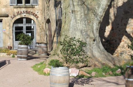 LES COMMUNES DE L’AGGLO DE CARCASSONNE – CAUNES MINERVOIS